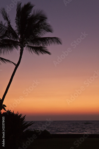 Photo: Hawaiian Sunset Hawaiian Sunset
