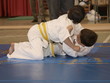 Inmovilización en judo