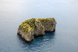 Cliff in Capri (Italy)