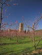 Abbaye Saint Michel de Cuxa ; Canigou ; Pyrénées Orientales Abbaye Saint Michel de Cuxa ; Canigou ; Pyrénées Orientales