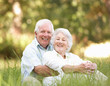 Senior Couple Sitting In Park