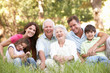 Portrait Of Extended Family Group In Park Portrait Of Extended Family Group In Park