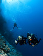 scuba divers