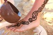 Foto: traditions traditions