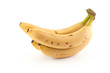 Bananas