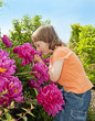 little girl 3 years old smelling to flowers