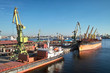 Cargoships and cranes in the harbor