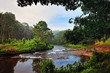 River Bank River Bank