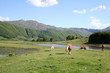 Chevaux et monts du Cantal