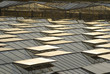 Glasflächen von einem Gewächshaus Glasflächen von einem Gewächshaus