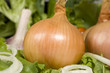 Onion Salad. Food background with onion the focal point