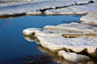 Floe