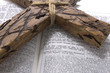 Bible and cross