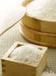 Rice is the most important food