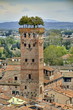 Guinigi Turm