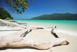 Rawi Island Beach
