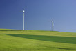 Field with windmills
