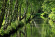 Spreewald