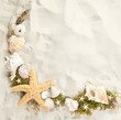 Border of seashells
