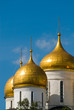 Moscow. Temple fragment Moscow. Temple fragment