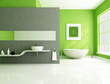 Images : green and gray contemporary bathroom