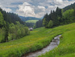 Schwarzwaldtal