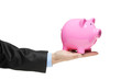A man holding a Piggy bank isolated on white A man holding a Piggy bank isolated on white