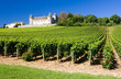 Image : Chateau de Rully with vineyards, Burgundy, France