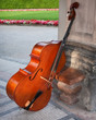 Cello in a beautiful garden Cello in a beautiful garden