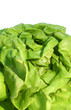 Lettuce