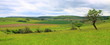 Prairies
