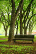 bench