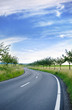 Kurvige Straße durch Felder, Hochformat