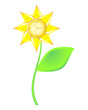 Watch as the flower