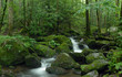 Mossy creek panorama
