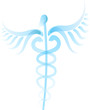 Caduceus