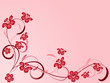 flower pattern