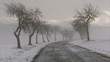 Winter road