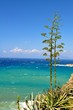 Meer von Sizilien