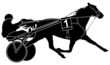 Trotter