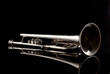 Trumpet