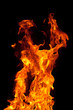 Fire Fire