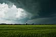 Sturmwolken über einem Feld
