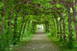 Green Tunnel