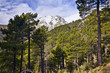 Images : Sierra de Gredos