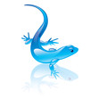 Vector illustration of reptile symbol. Blue design.