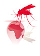 Vektor: malaria / africa malaria / africa