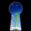 Keyhole - the door