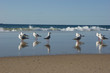 At the beach