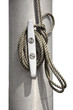 Knoten (freigestellt)